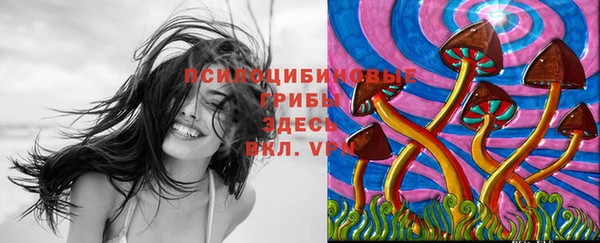 твердый Балахна