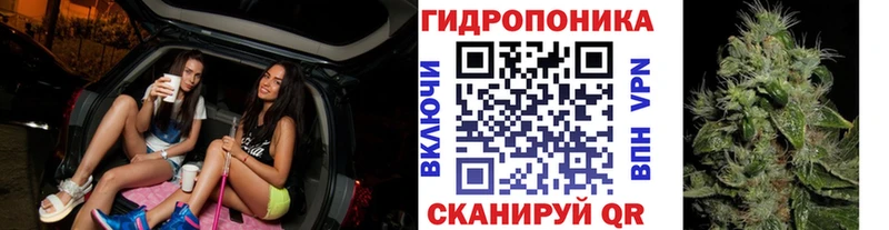 Канабис Amnesia  Купить закладки  Старый Крым 